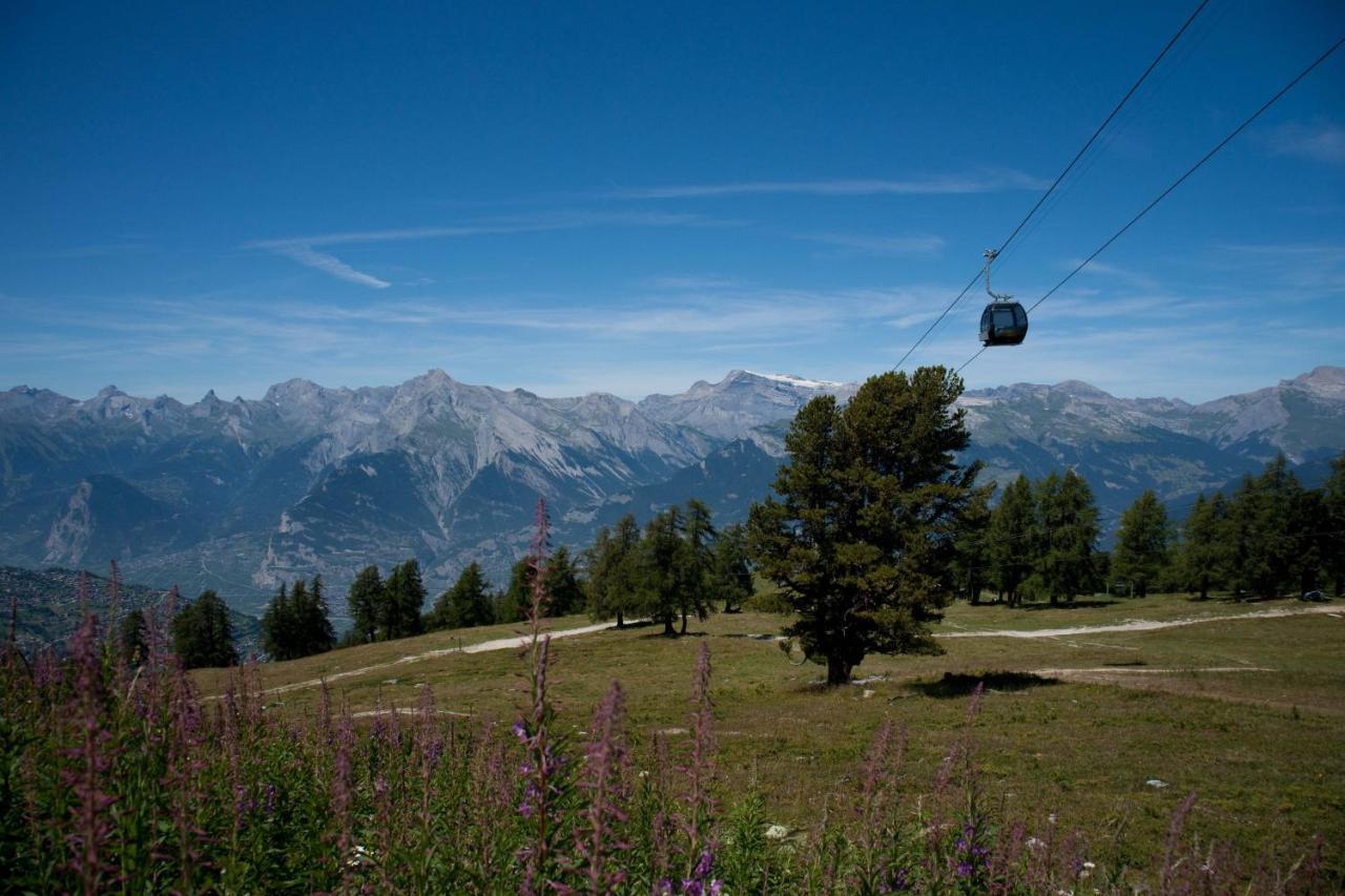 Paradise Mountain & Luxe * Veysonnaz